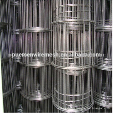 Whole sale China galvanized iron welded wire mesh